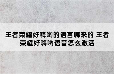 王者荣耀好嗨哟的语言哪来的 王者荣耀好嗨哟语音怎么激活